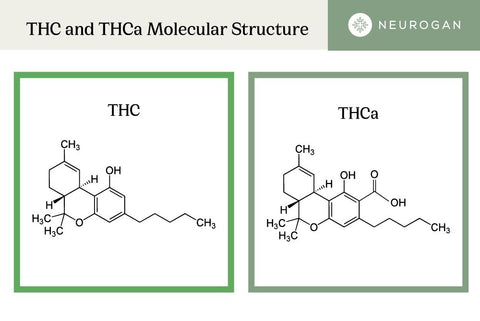 THC vs THCA molecules