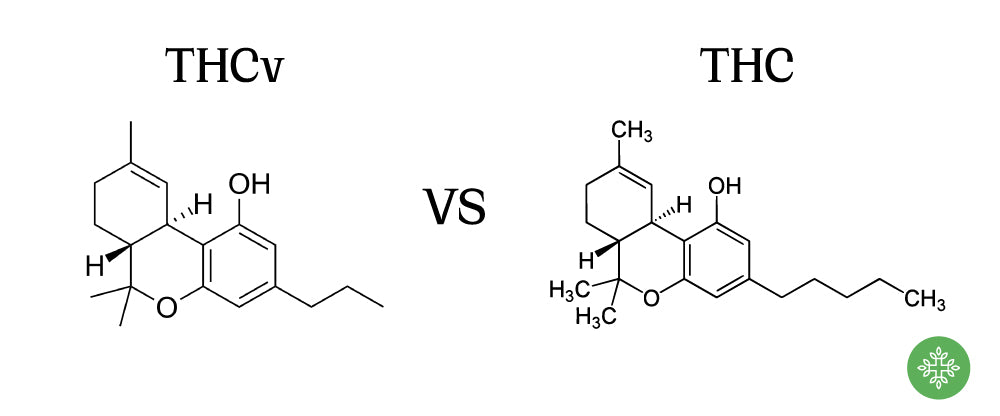 THCv VS THC molecule structure