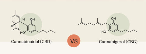 CBD Vs CBG Cannabinoid Structure