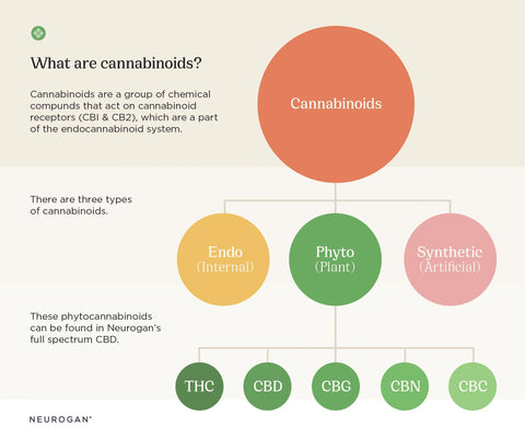 What Does CBG Mean?