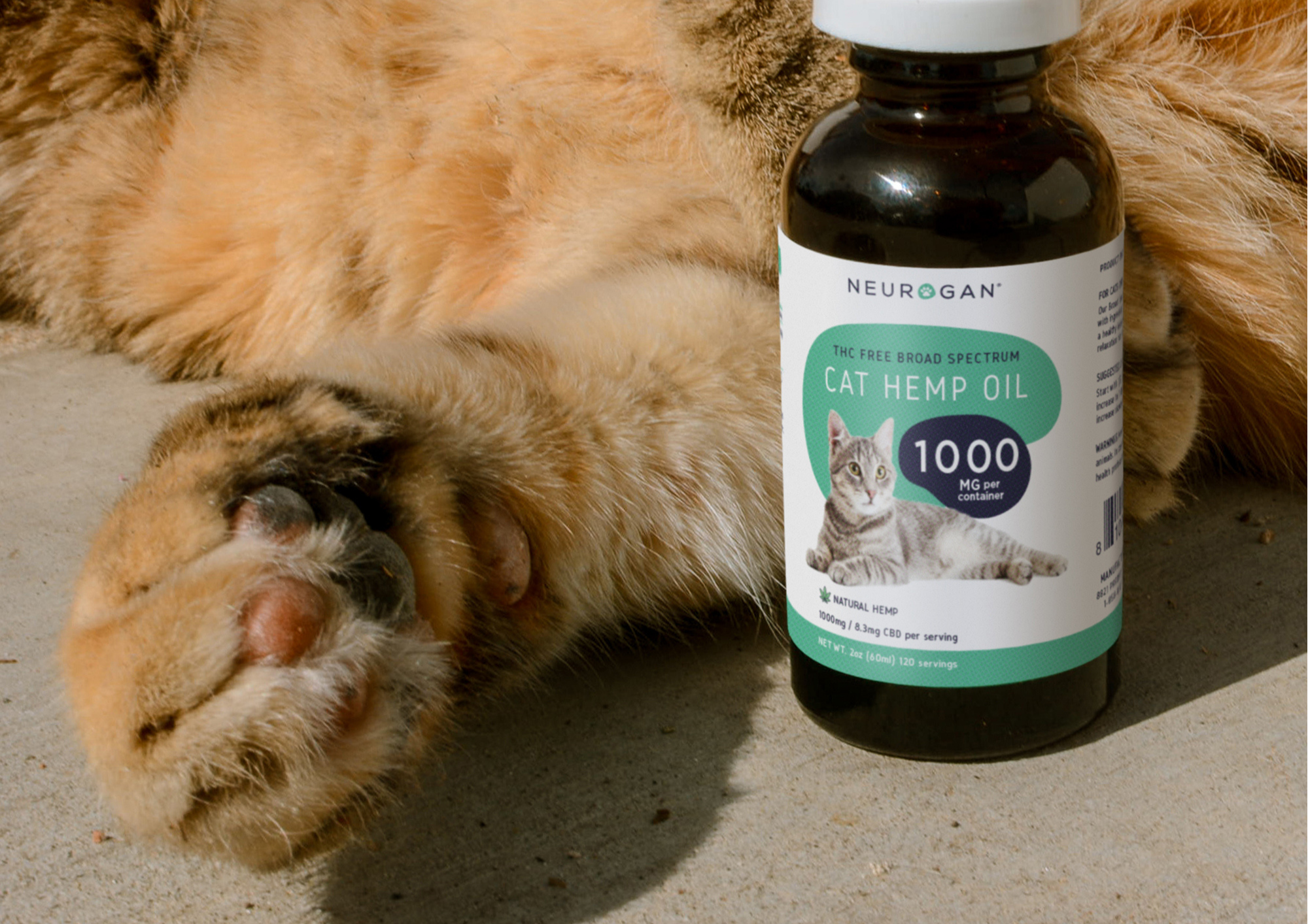 neurogan cat oil for cats