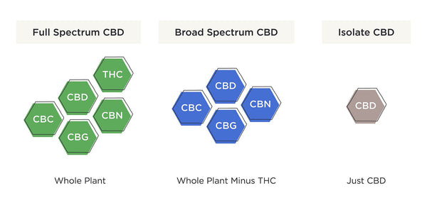 cbd exracts broad spectrum full spectrum isolate infographic