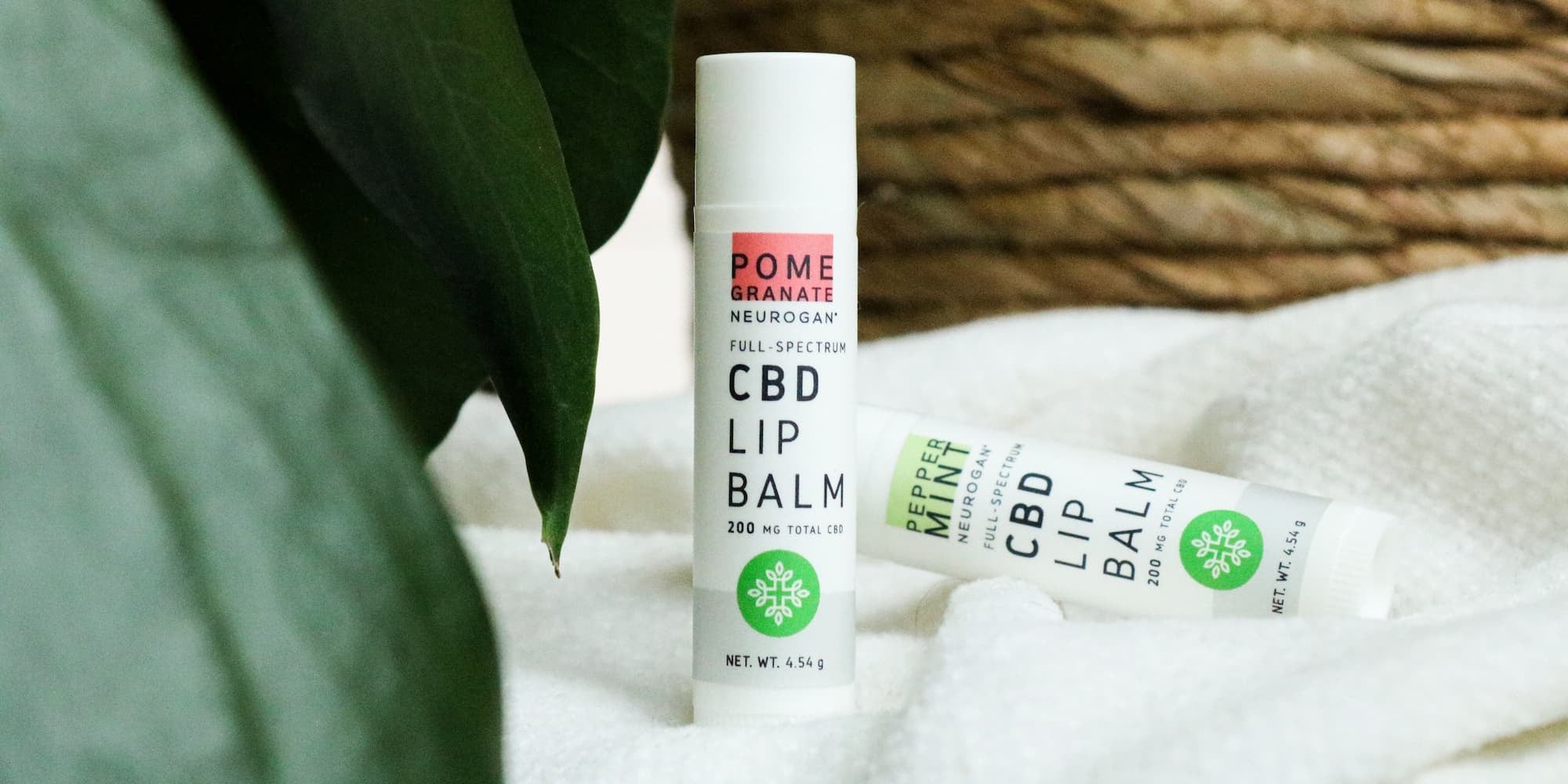 Full Spectrum CBD Lip Balm