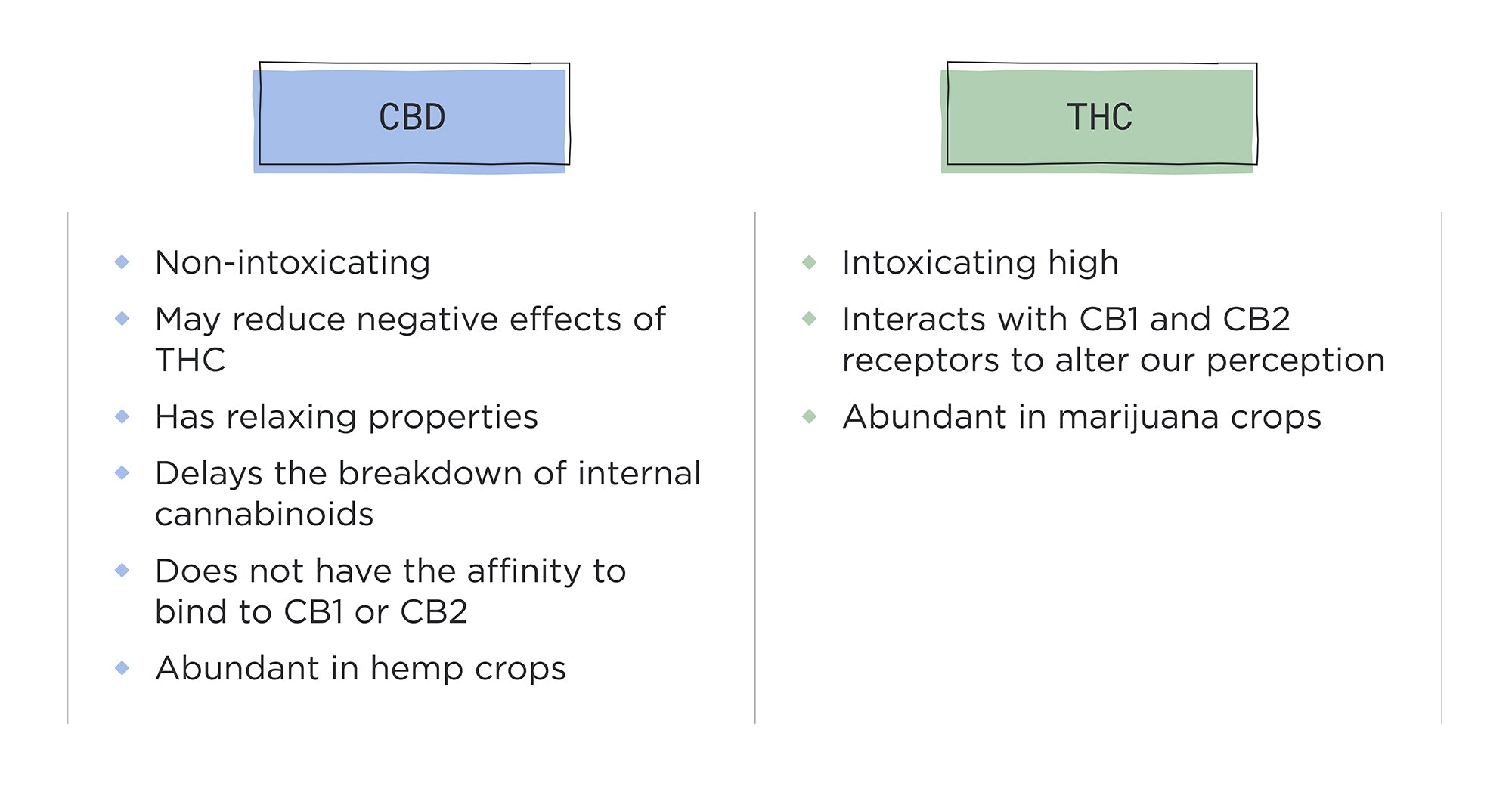 CBD vs THC infographic