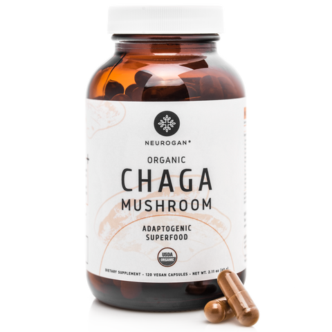 Chaga Mushrooms