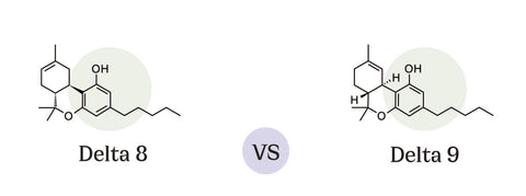 What's The Difference Between Delta-8 and Delta-9?