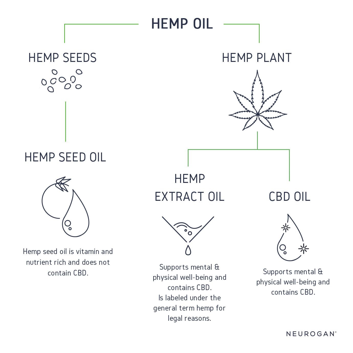 Common terms used in the hemp industry