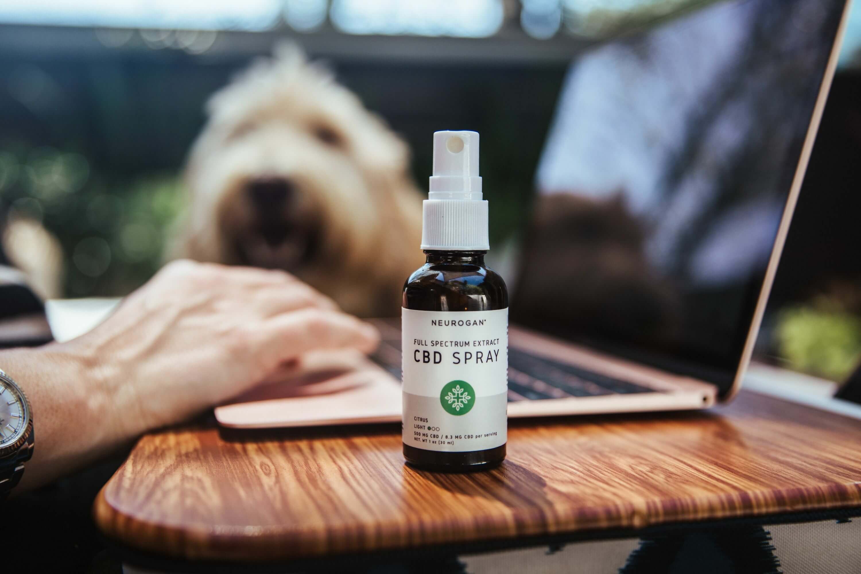 neurogan cbd spray full spectrum on a desk table with a dog in the background