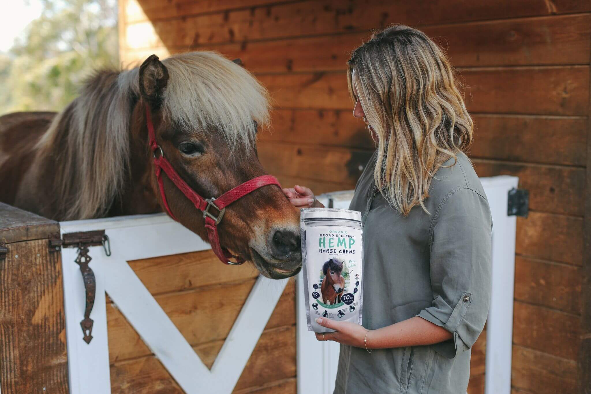 Use CBD Horse Chews