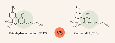 THC vs CBD: Difference on the molecular level