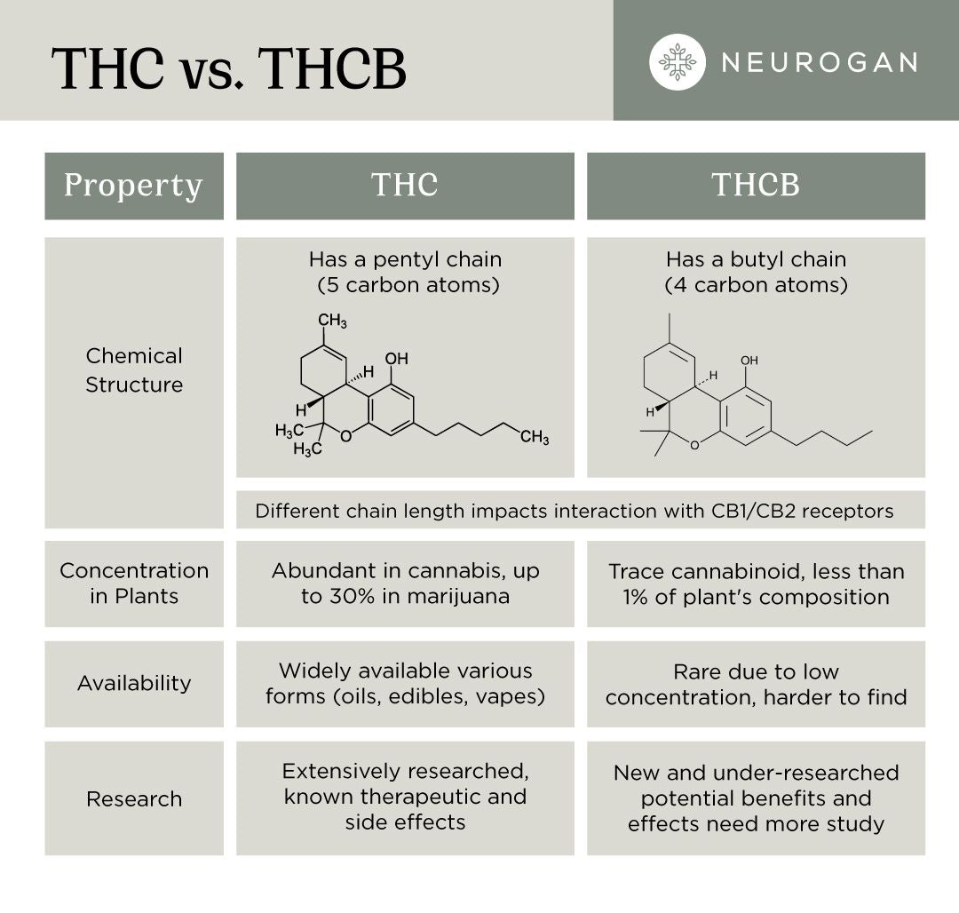 THC Vs THCB Molecule Comparison Table