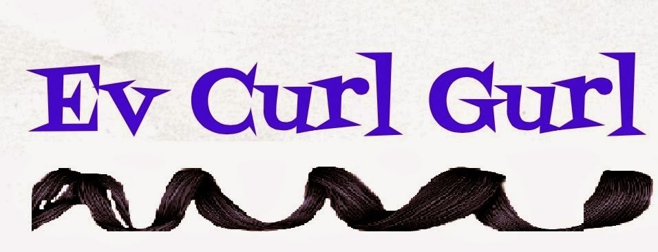 Evcurlgurl blog title