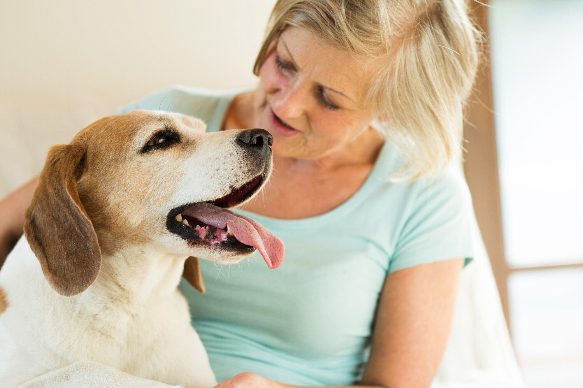 why do dogs like to lick your feet