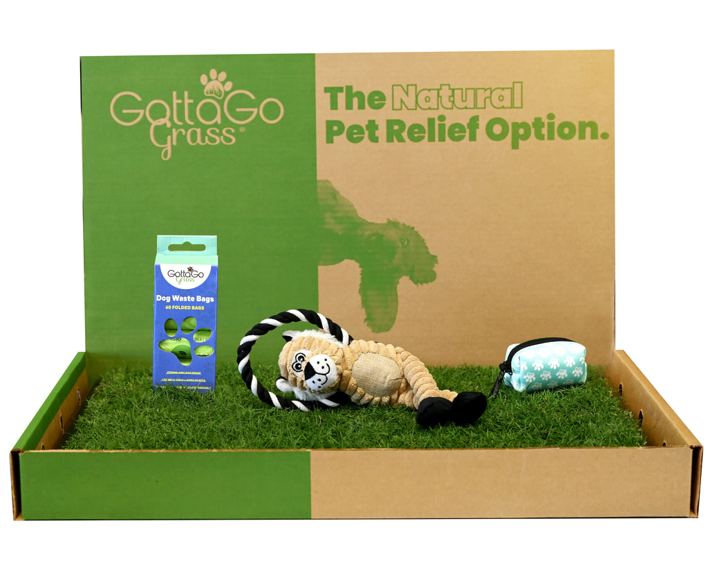 gotta-go-grass-pads-for-dogs