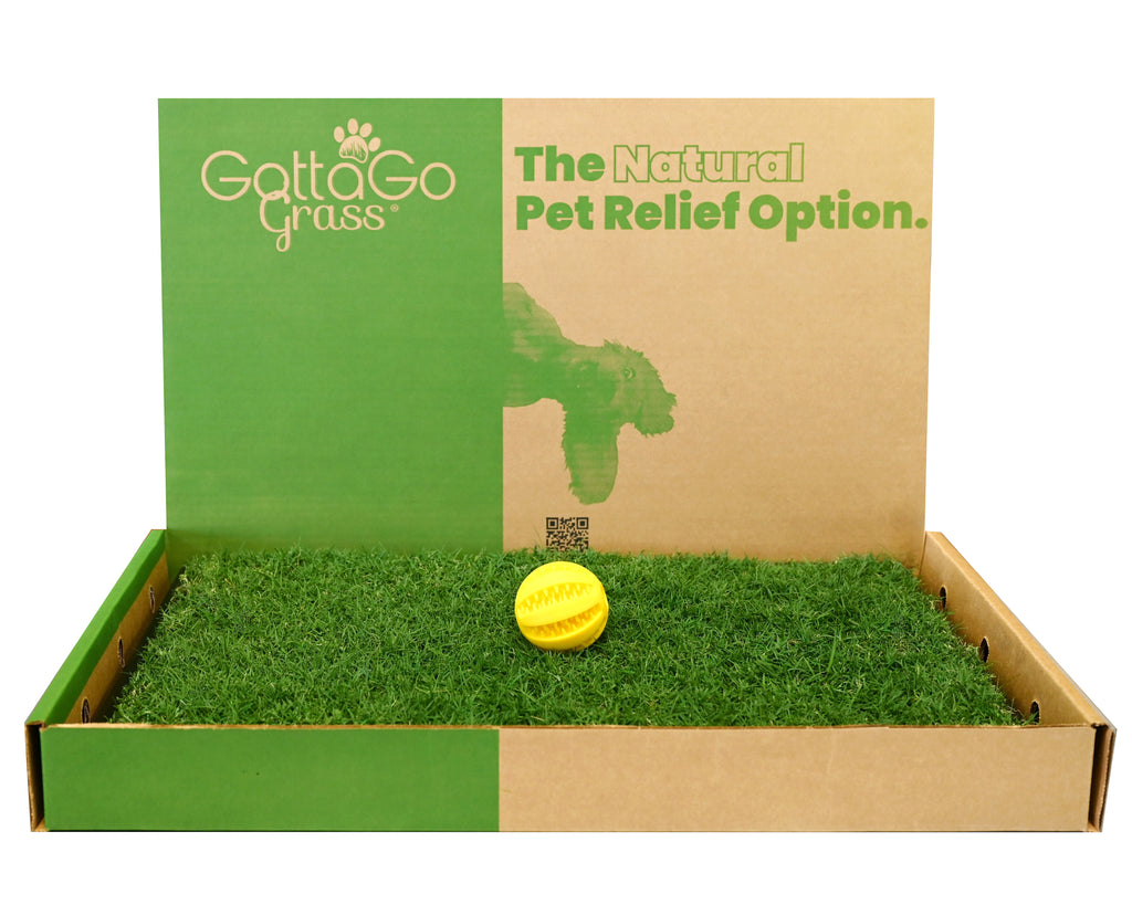 indoor-grass-pads-for-dogs-tick-prevention