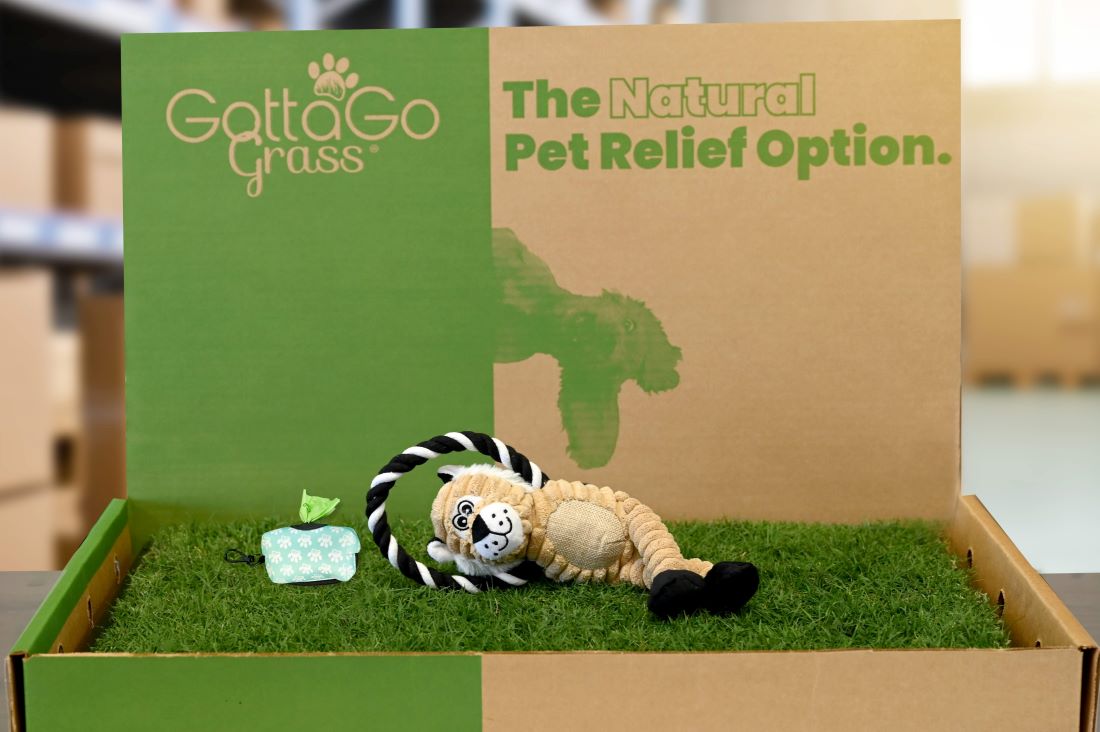 frequently-asked-questions-about-grass-pads-for-dogs