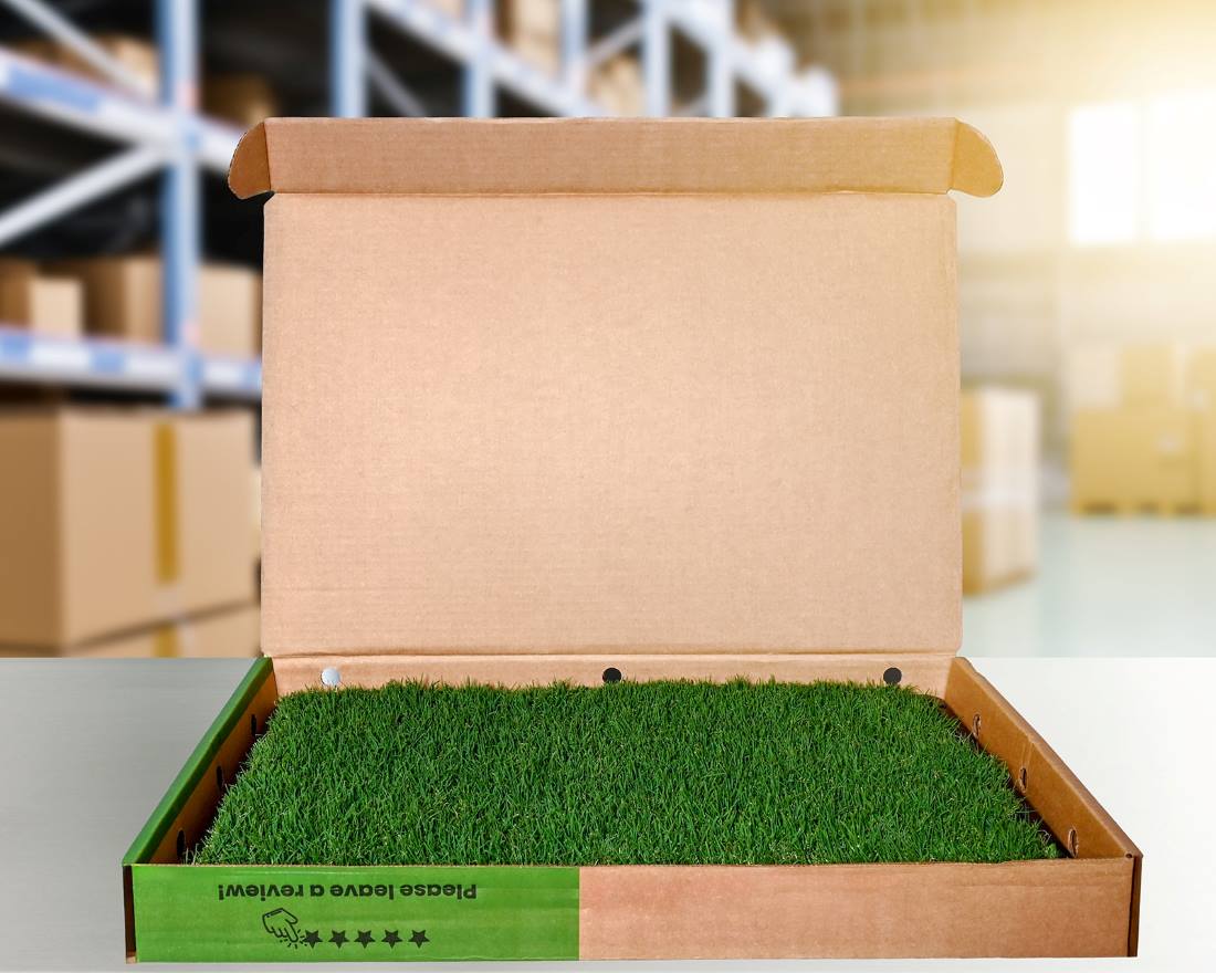 indoor-grass-pee-pad-for-dogs