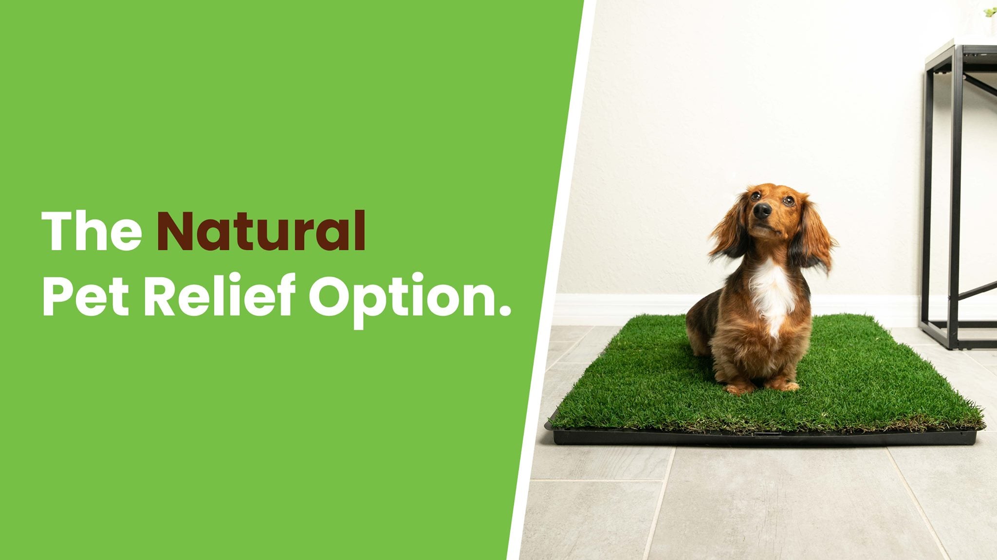 Gotta Go Grass pee pad, the natural grass pet relief option