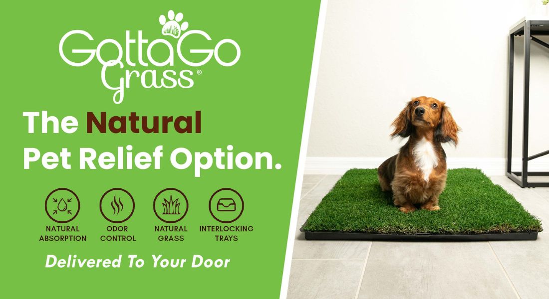 positive-reinforcement-potty-training-grass-pad-for-dogs