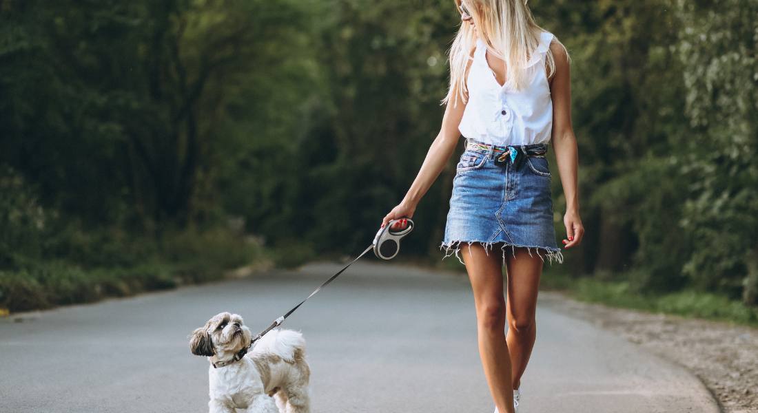 leash-pulling-how-to-untrain-bad-dog-behavior