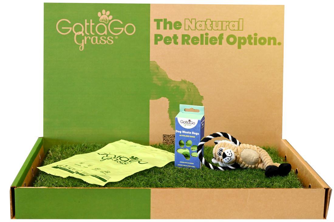 real-grass-pads-for-dogs-review