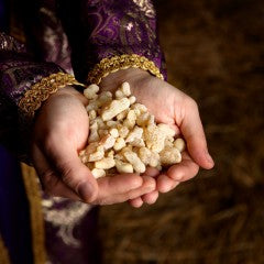 Frankincense Offering