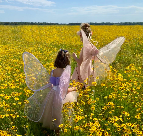 Two girls dressed as fairies