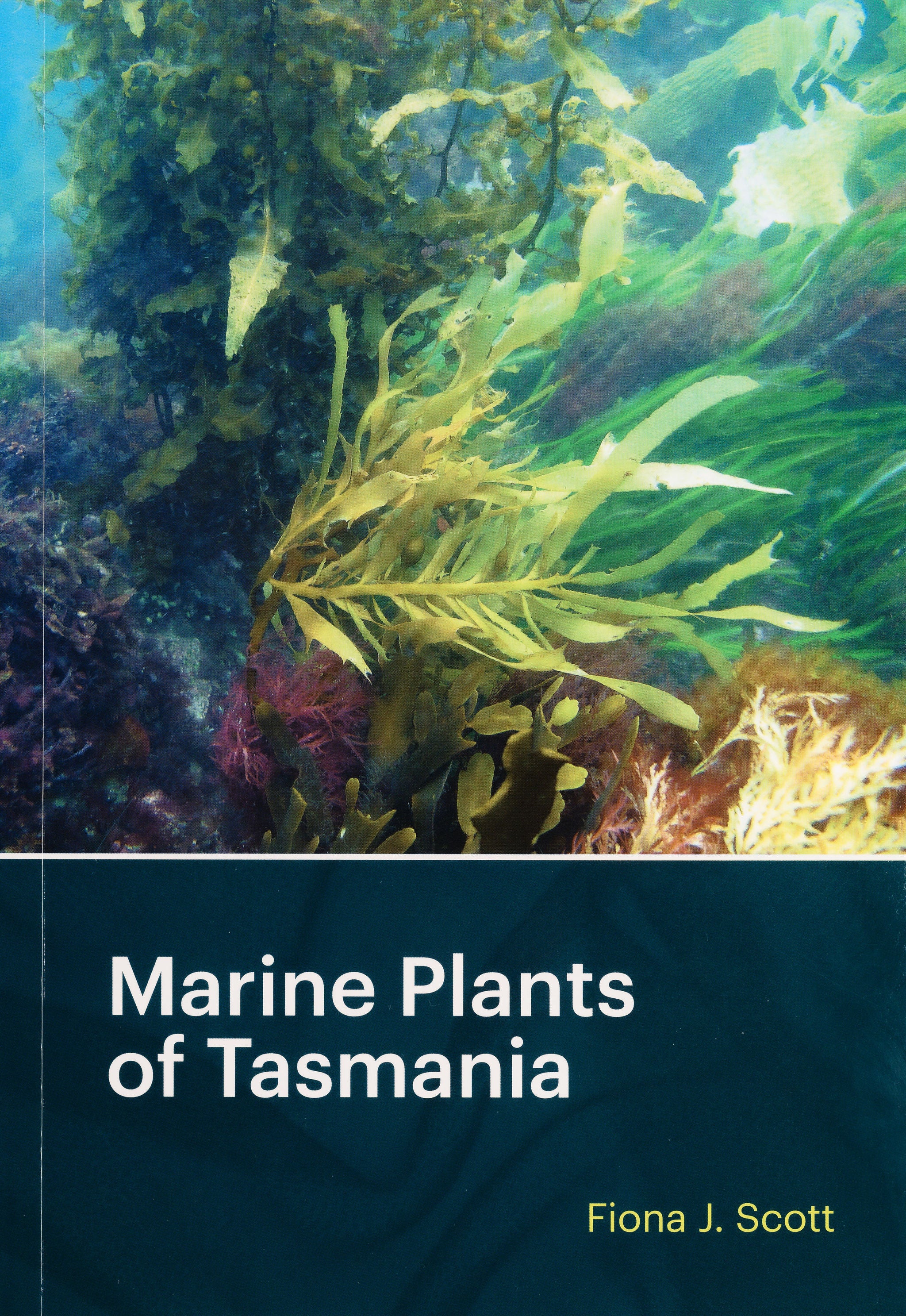 Marine Plants Of Tasmania image