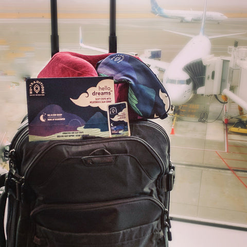 Hello Dreams atop a suitcase in airport