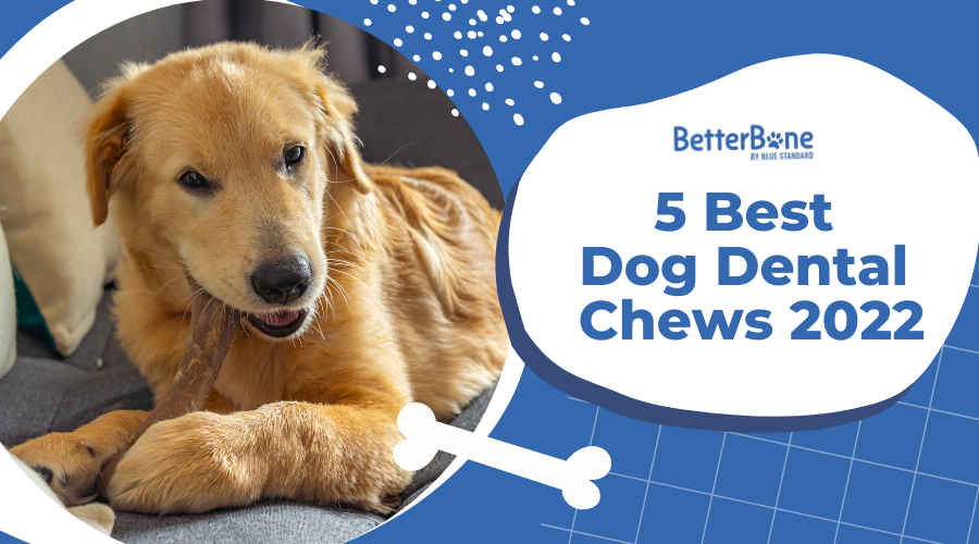 what is the best dental treat for dogs