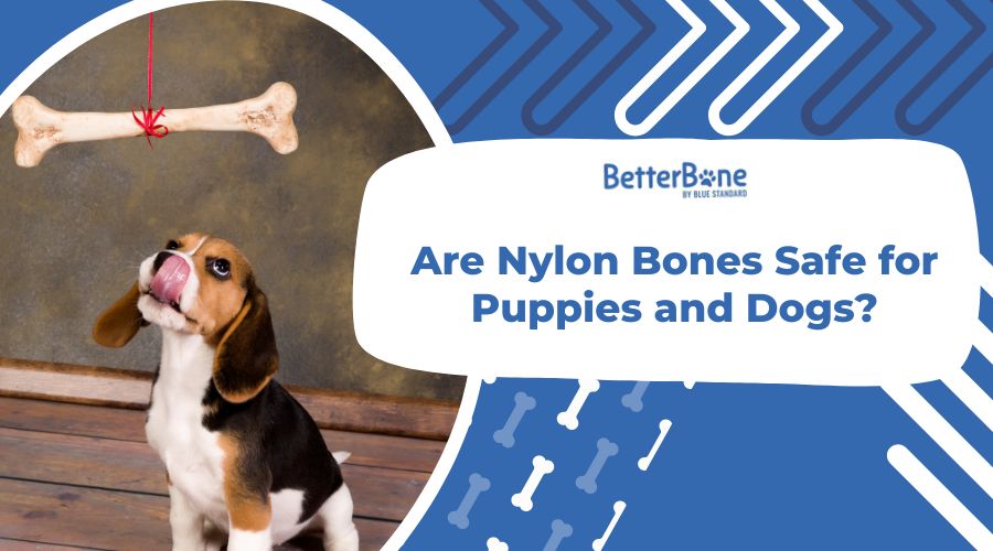 are artificial bones good for dogs