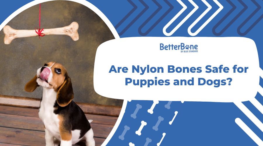 are synthetic dog bones safe