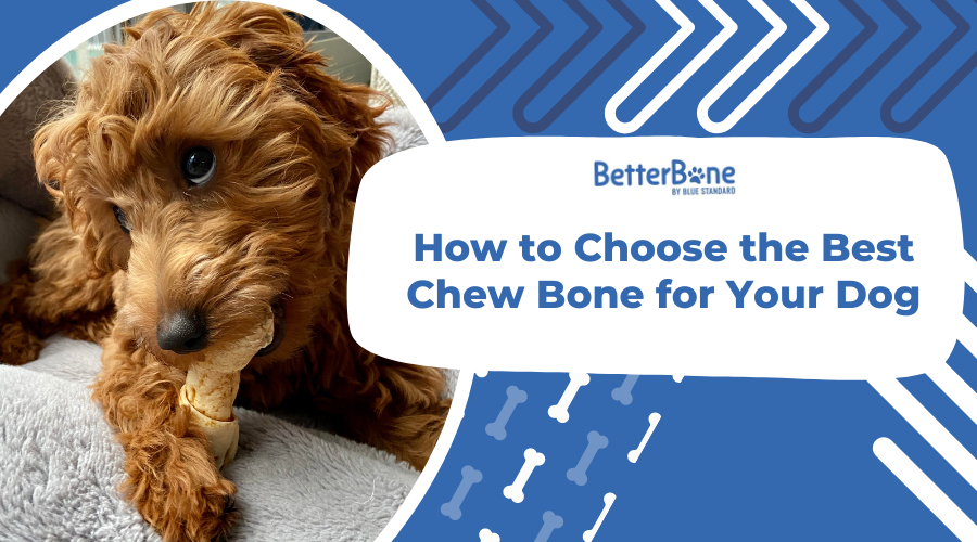 which bones are best for dogs