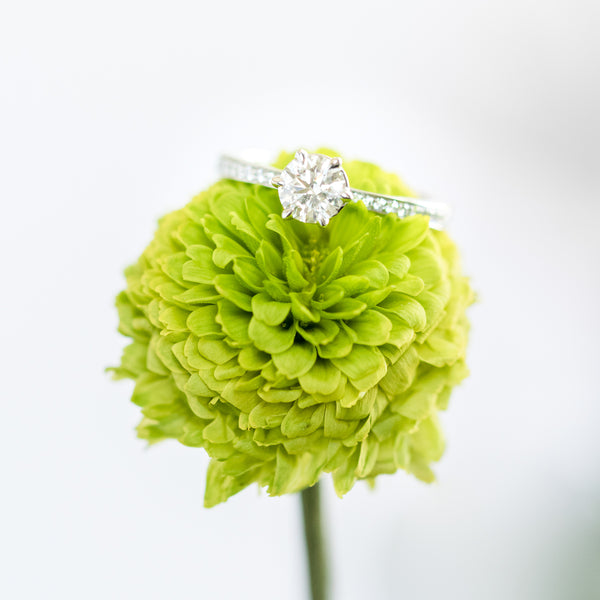 diamond ring on green flower