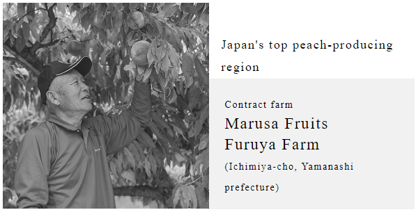 Marusa Fruits Furuya Farm