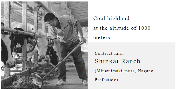 Shinkai Ranch