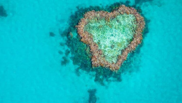 Heart of Great Barrier Reef