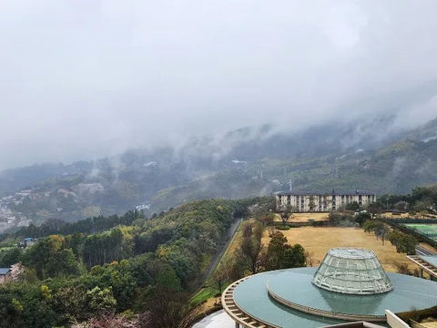 Hilton Odawara Resort and Spa_View from balcony