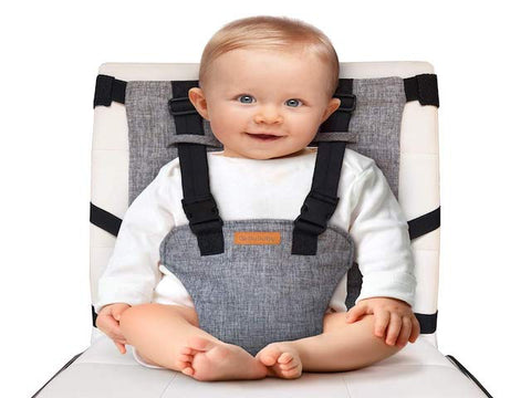 Liuliuby Travel Harness Seat