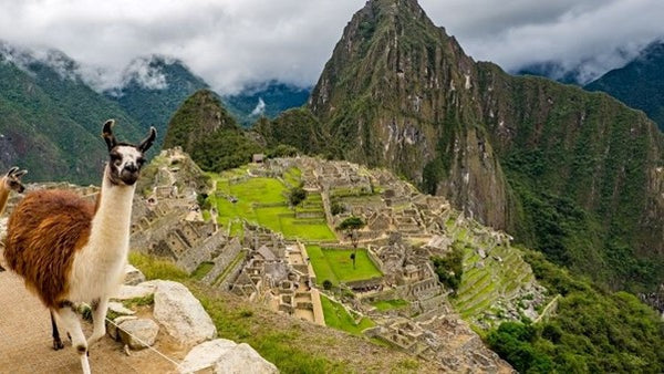 Machu Picchu