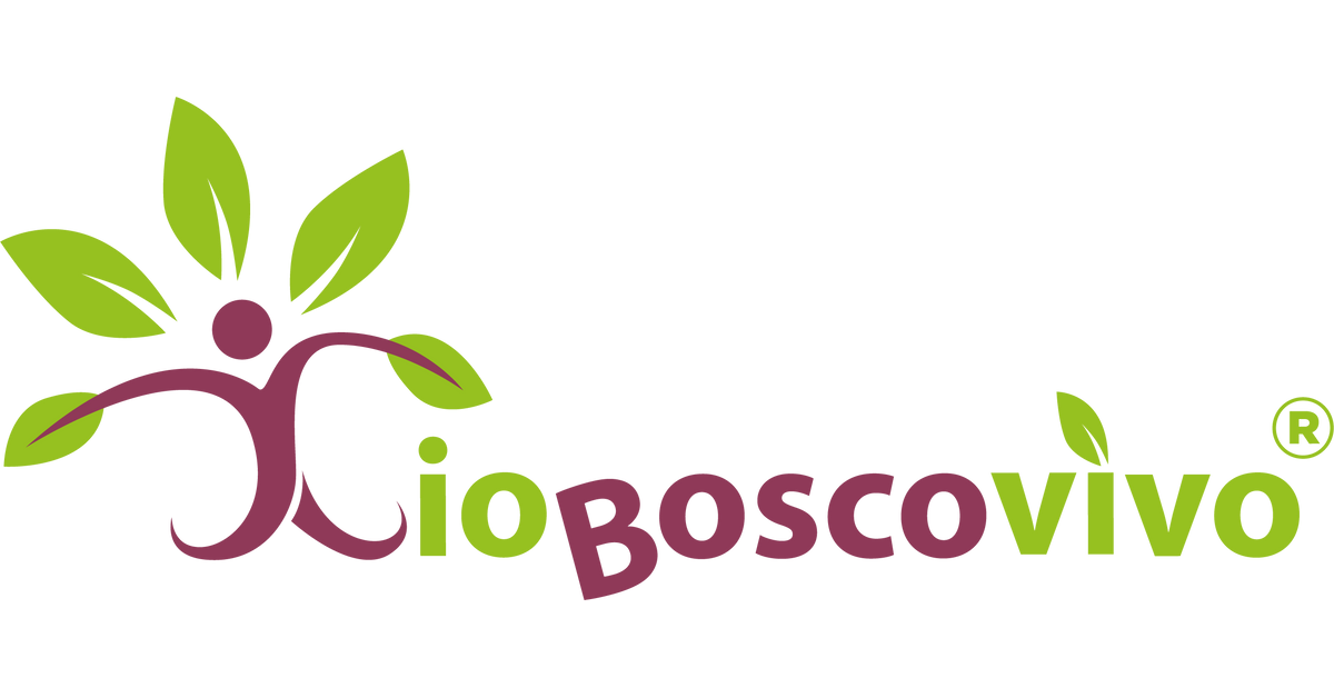 IoBoscoVivo CH
