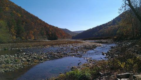 SAVAGE RIVER STATE FOREST