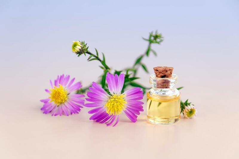 Definición de las palabras más usadas en el mundo del perfume