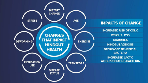 Impacts of change