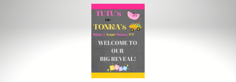 Customisable Gender Reveal Welcome Sign Tutus or Tonkas