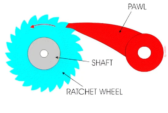 ratchet and pawl system