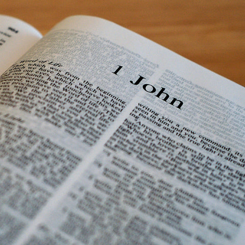 1 John - Books of the Bible - King James Version