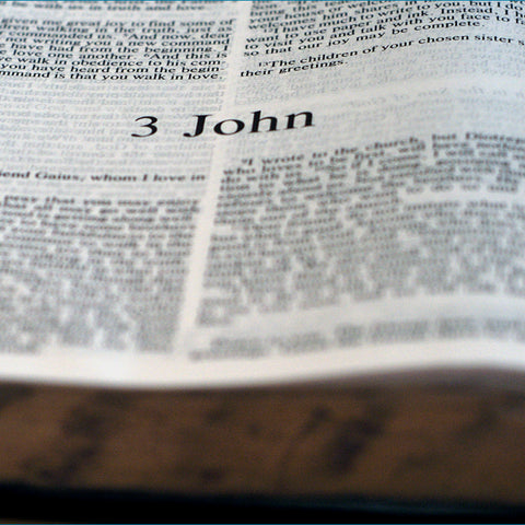 3 John - Books of the Bible - King James Version