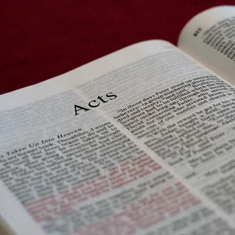 Acts - Books of the Bible - King James Version