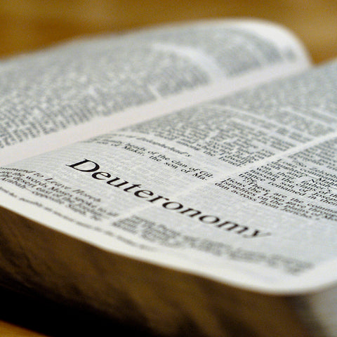 Deuteronomy - Books of the Bible - King James Version